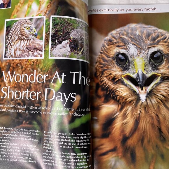 Scots Magazine Travel Magazine December 2016 Vol 184 No 12 u National Parks Deba - Picture 10 of 10